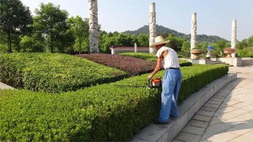 無錫一公司招聘要求60歲男性優(yōu)先 回應(yīng) 系綠化養(yǎng)護(hù)