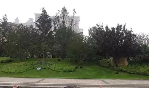 這些園林綠化工程施工技術(shù)規(guī)范,值得你花時間學習一下